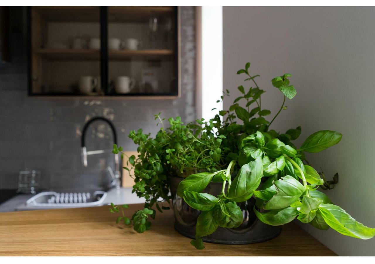 Gostynin Garden Apartment Dış mekan fotoğraf